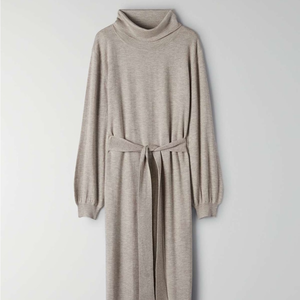 Aritzia Ono Sweater Dress